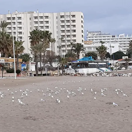 Flamingo Sol Daire Torremolinos