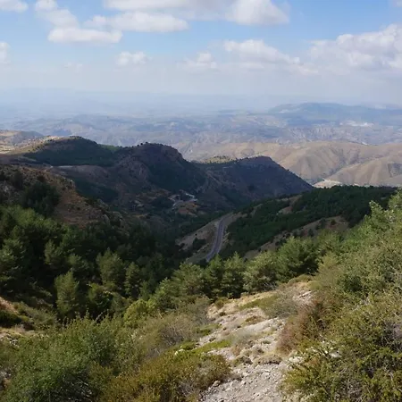 Apartment Flamingo Sol