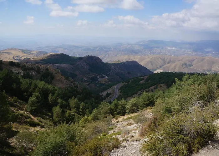 Apartment Flamingo Sol