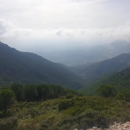 Flamingo Sol * Τορρεμολίνος