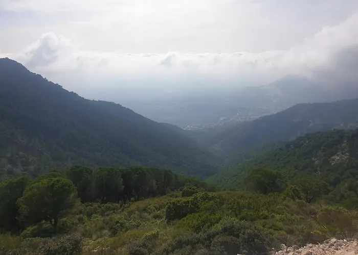 Flamingo Sol * Torremolinos