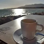 Flamingo Sol *